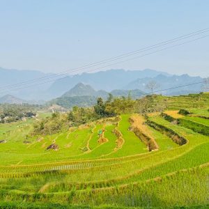 WhatsApp Image 2026-01-27 at 21.38.05 (1)