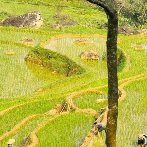 WhatsApp Image 2026-01-27 at 21.38.05