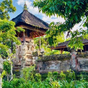 WhatsApp Image 2026-01-27 at 22.02.33 (3)