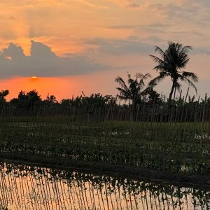 WhatsApp Image 2026-01-27 at 22.02.35 (2)